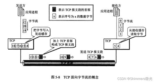 TCP協議 網絡通信的可靠基石與技術開發實踐